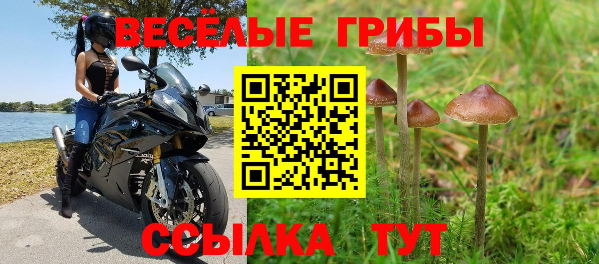 Новокузнецк  Галлюциногенные грибы Psilocybine cubensis  Вход с VPN 